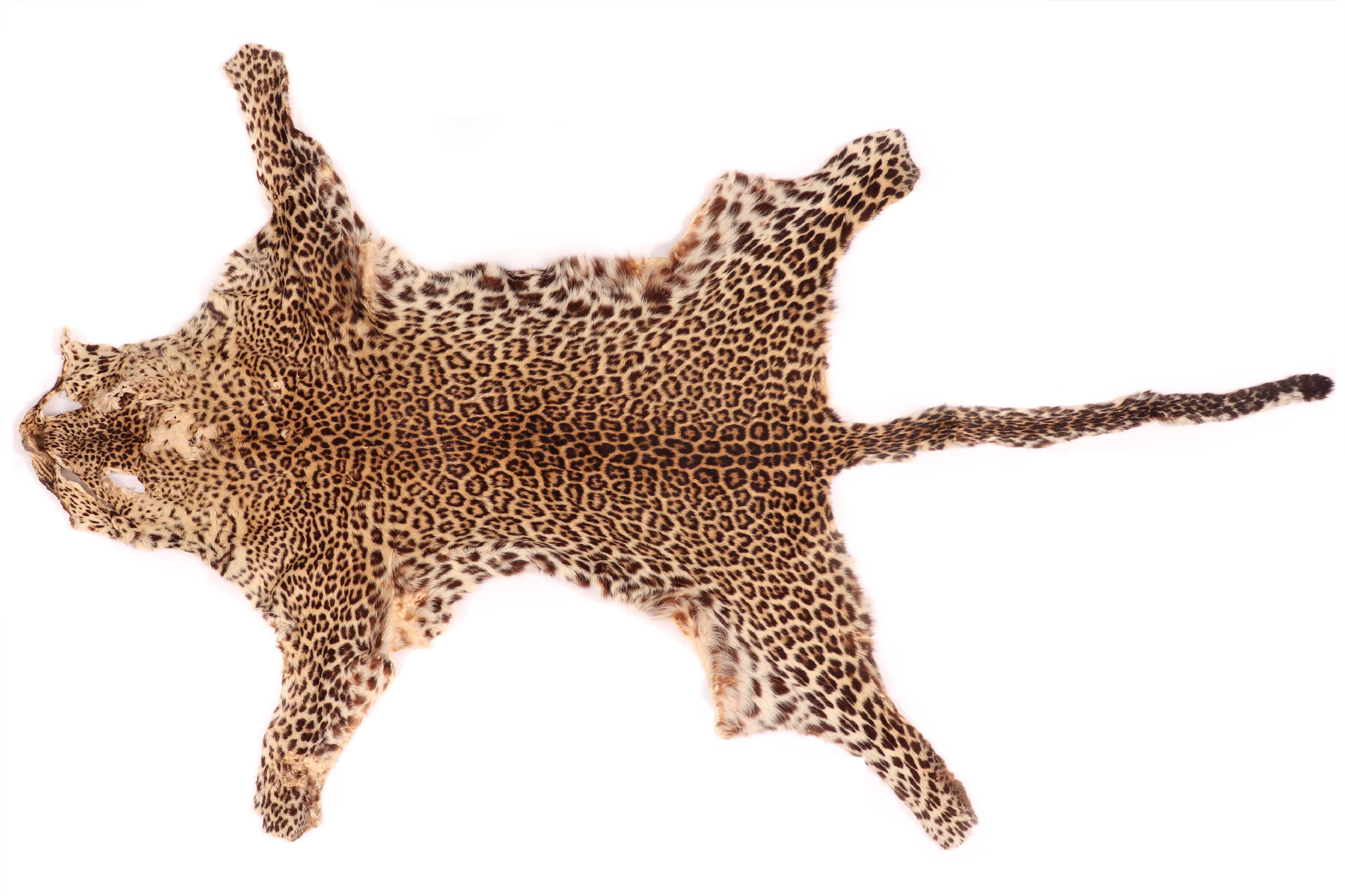 Pele de leopardo
