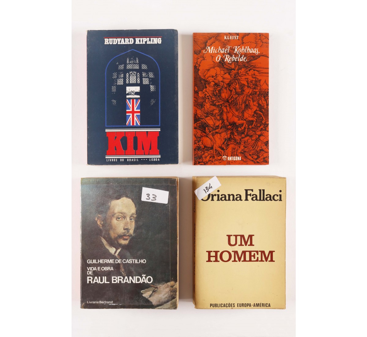 Conjunto de 4 livros sobre diversas temáticas (4)