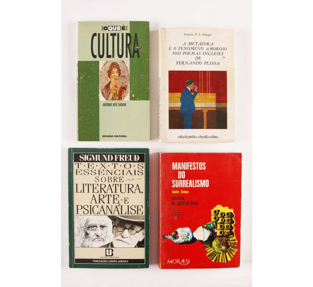 Conjunto de 4 livros sobre temas diversos (4)